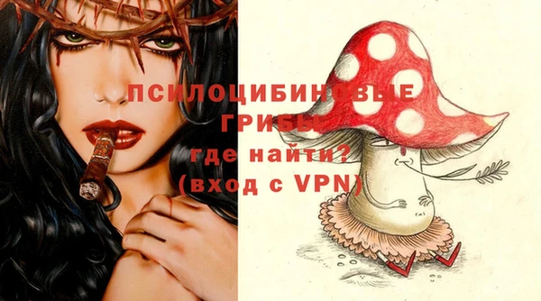 мескалин Алексин